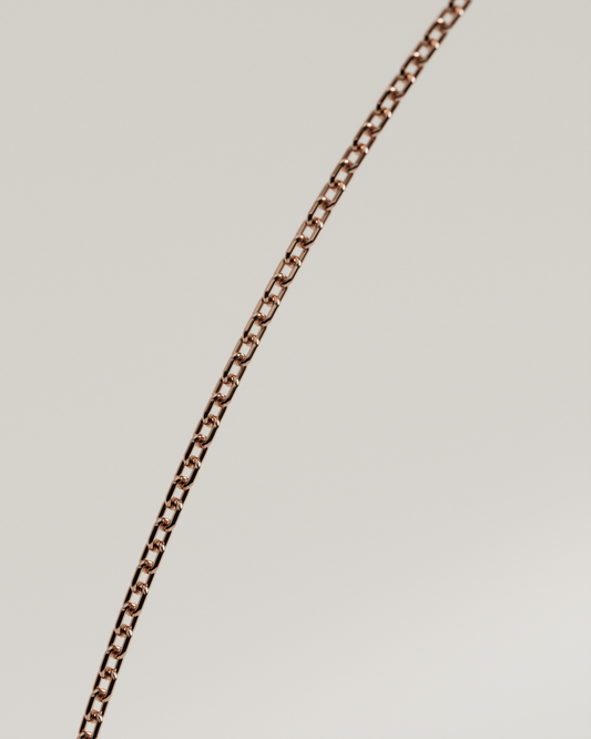 THIN CHAIN NECLACE(Azuki) | 45cm