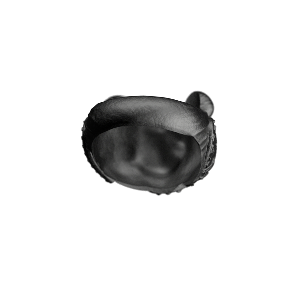 Grunge Ring _ Bear