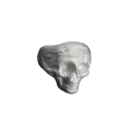 リサイクルシルバー スカル