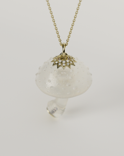 MUSHROOM TOP（Clear）