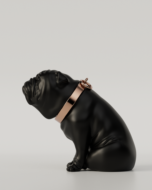 BULLDOG TOP（Black）  | L size