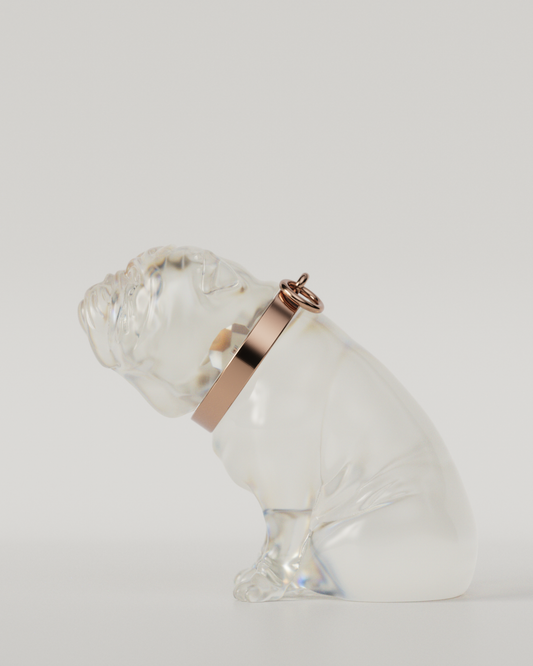 BULLDOG TOP（Clear）  | L size