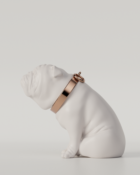 BULLDOG TOP（White）  | L size