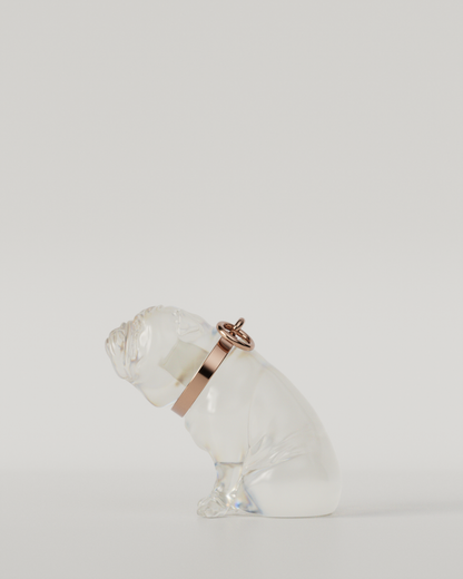 BULLDOG TOP（Clear）  | M size