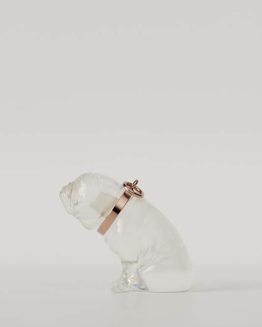 BULLDOG TOP（Clear）  | M size