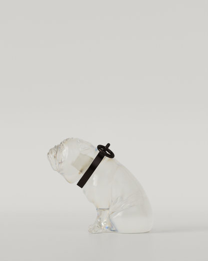 BULLDOG TOP（Clear）  | M size