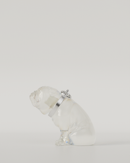BULLDOG TOP（Clear）  | M size