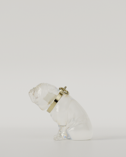 BULLDOG TOP（Clear）  | M size