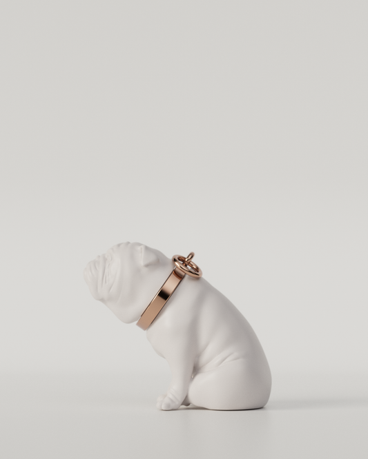 BULLDOG TOP（White）  | M size