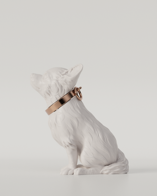 CHIHUAHUA TOP（White）  | L size