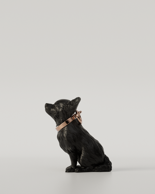 CHIHUAHUA TOP（Black）  | M size