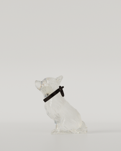 CHIHUAHUA TOP（Clear）  | M size