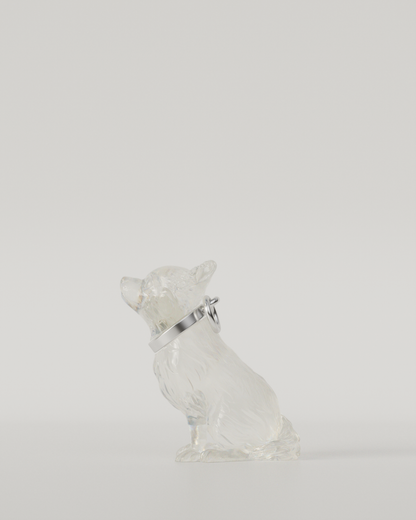 CHIHUAHUA TOP（Clear）  | M size