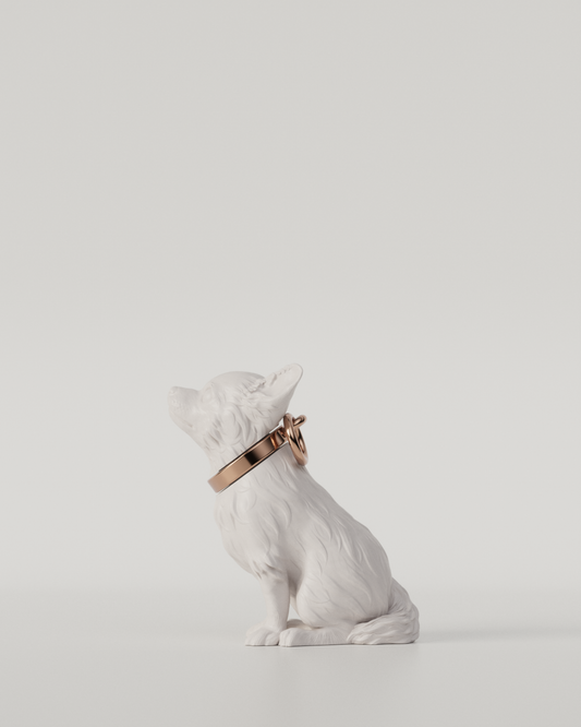 CHIHUAHUA TOP（White）  | M size